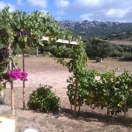 Çiftlik konaklama Agriturismo Sardo Campavaglio