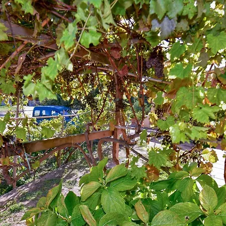 Agriturismo Sardo *