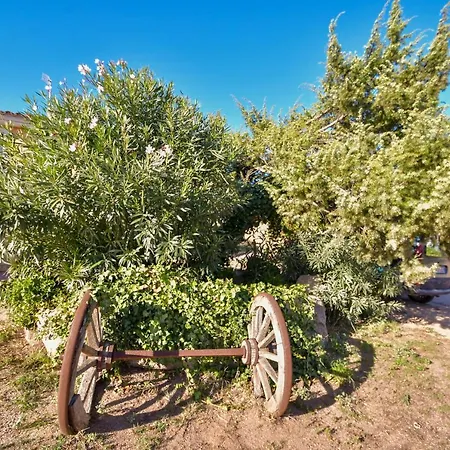 Agriturismo Sardo Farmház Campavaglio