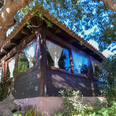 Lantgård Agriturismo Sardo