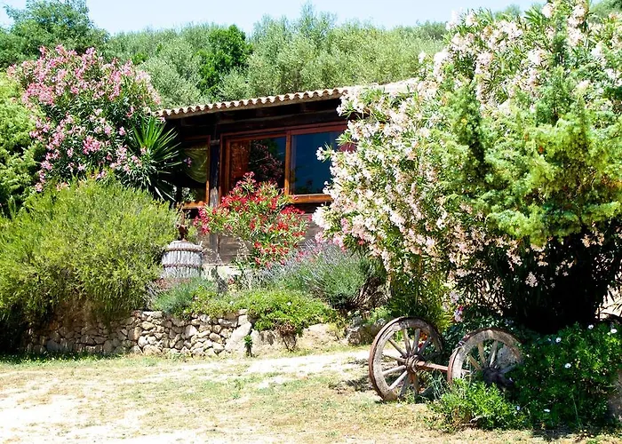 Agriturismo Sardo ファームステイ