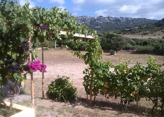 ファームステイ Agriturismo Sardo Campavaglio