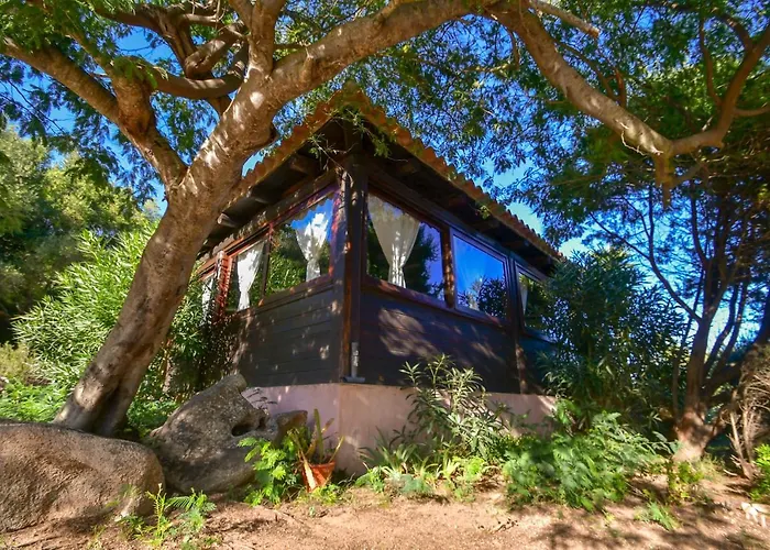 ファームステイ Agriturismo Sardo *